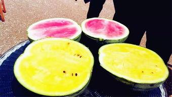 详细阅读:嘎子爆料吃瓜,娱乐圈吃瓜大揭秘,真相令人震惊! 嘎子爆料吃瓜,娱乐圈吃瓜大揭秘,真相令人震惊!